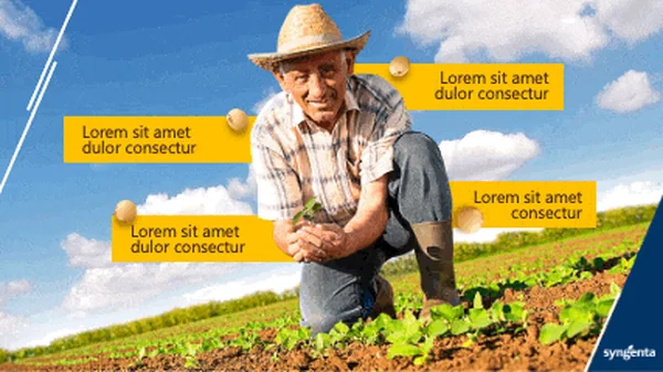 kings syngenta agronegocio - Kings Conquista